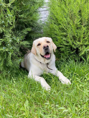 Emma R., Oregon, Dog Mom