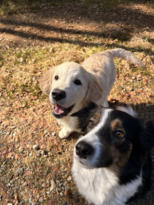 Sasha D., New York, Dog Mom