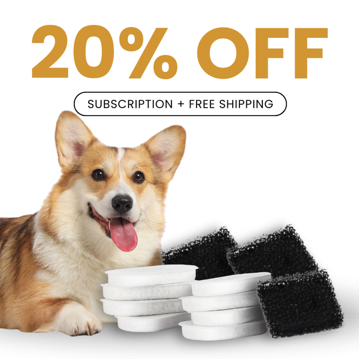 DoggySpout™ Fountain Filters