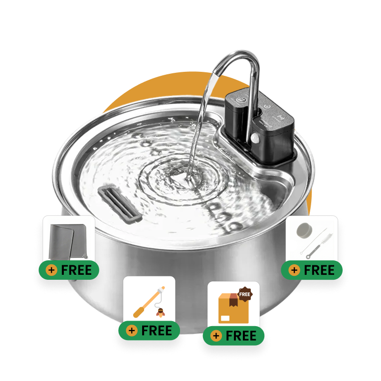 Ready to Improve Your Dog’s Hydration? Try DoggySpout™ Risk-Free Today