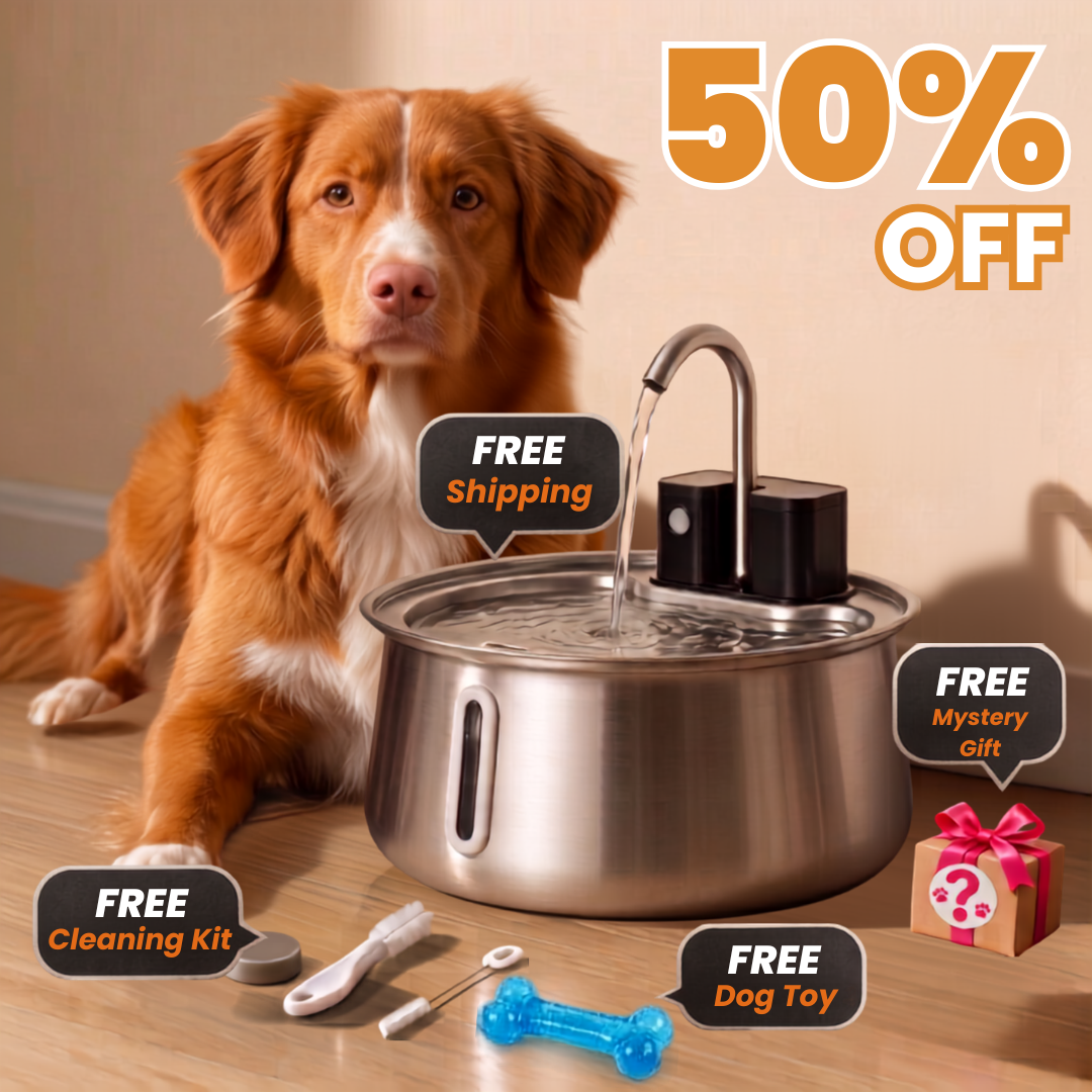 Get 50% OFF + FREE Gifts Today!
